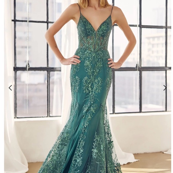 Elegant Green Lace Prom Dress - Picture 8 of 12